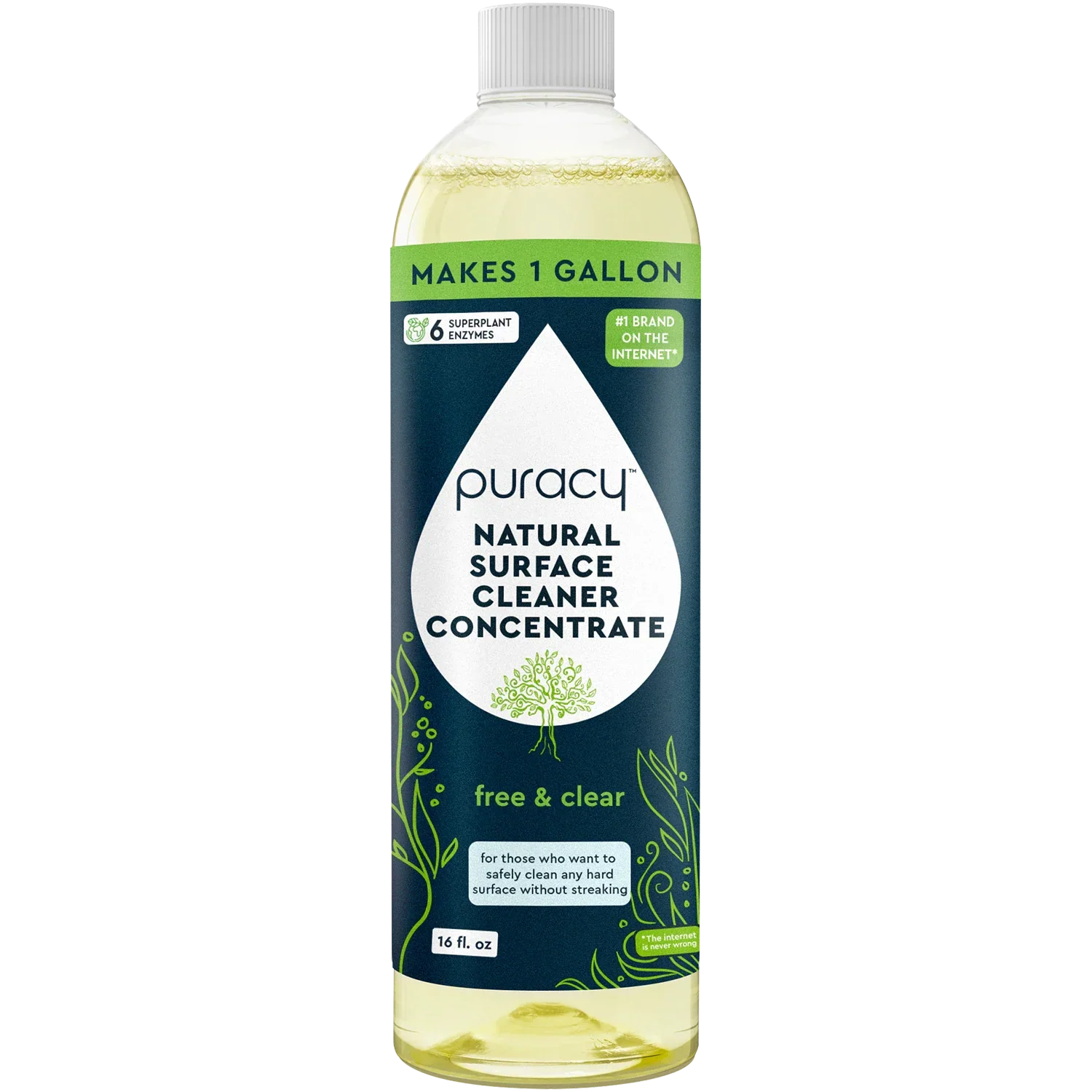 Everyday Multi-Surface Cleaner (3VXG)