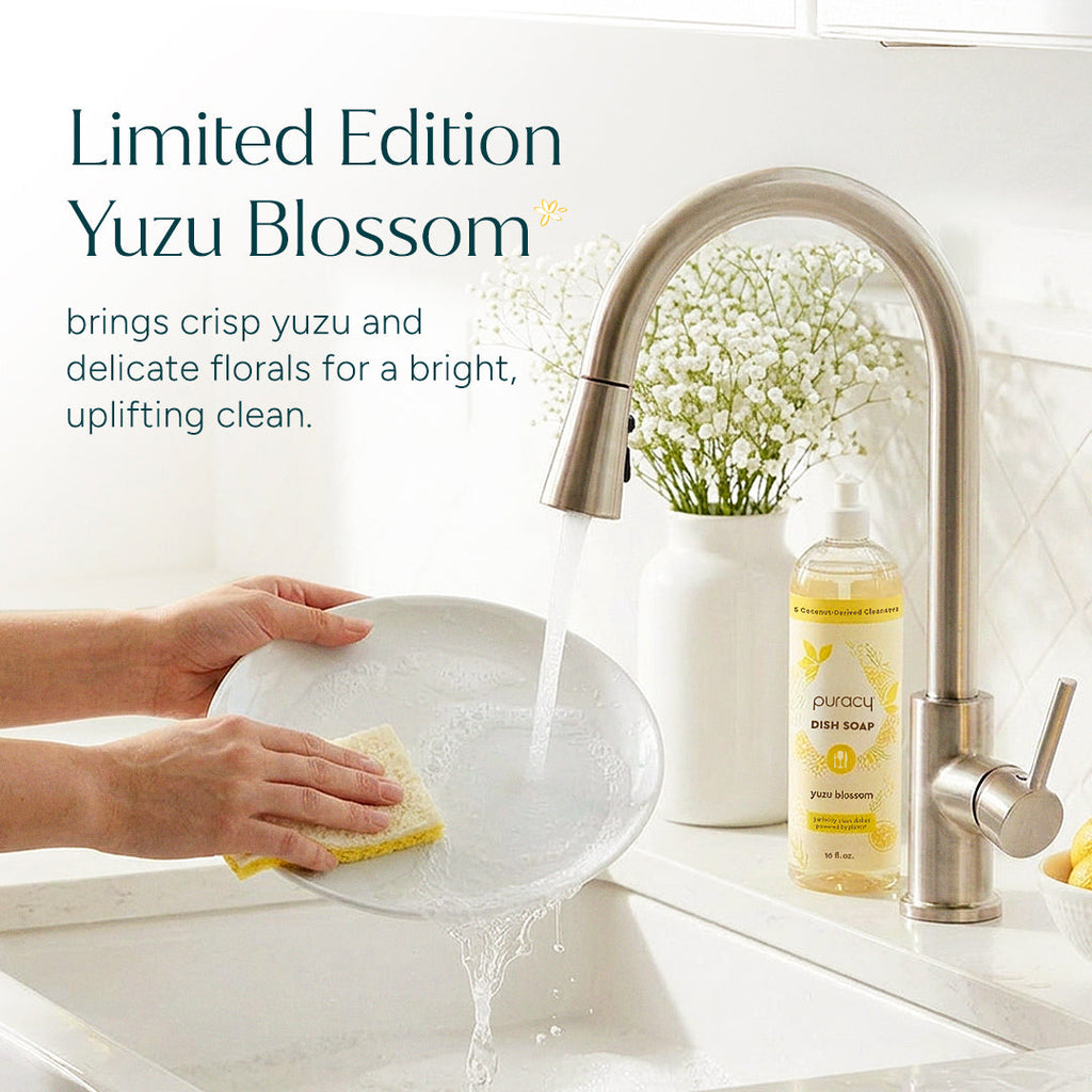 Dish Soap (VF0P)