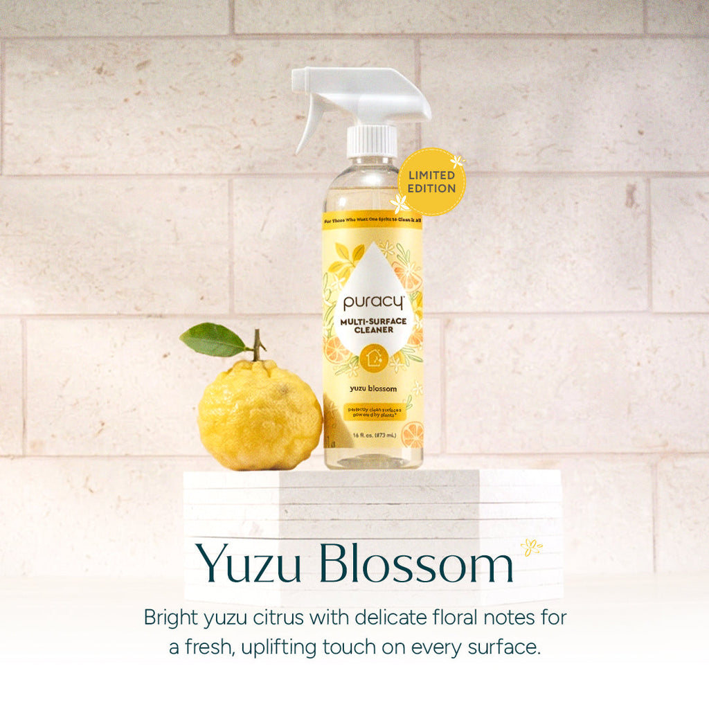 Everyday Multi-Surface Cleaner (3VXG)